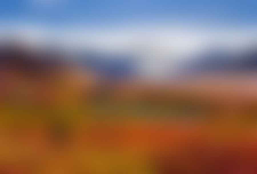 Stunning view of Alaska\'s scenic landscape with snow-capped mountains and lush greenery