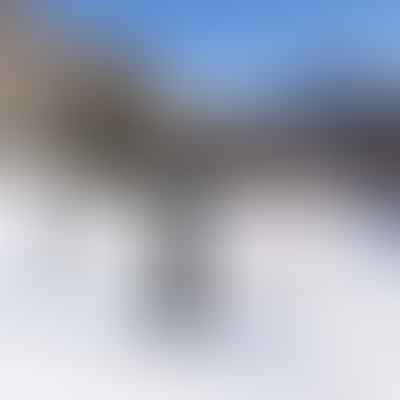 The Ins and Outs of Colorado Snowboarding Vacations: Costs and Budget Tips