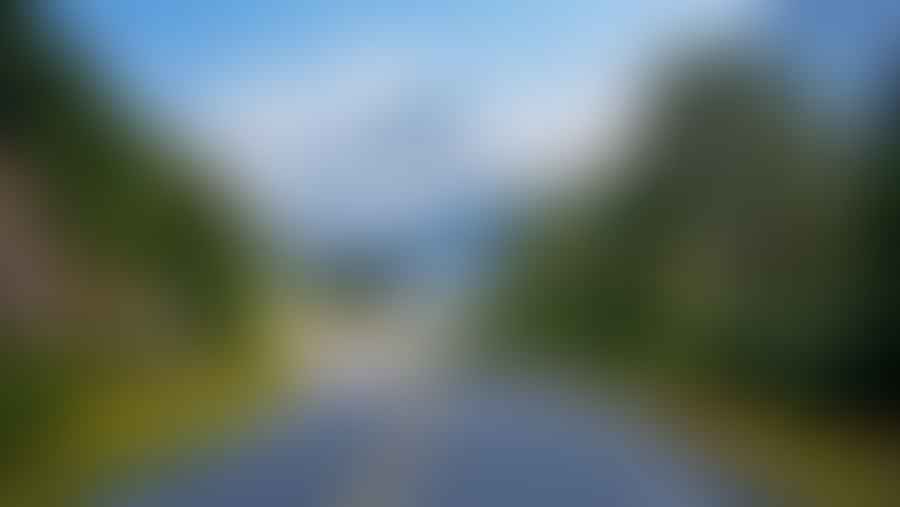Scenic summer view of Alaskan highway with lush greenery